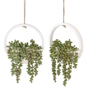 Artificial Succulents 2pk Hanging Plants 12.2'' White Wood Greenery